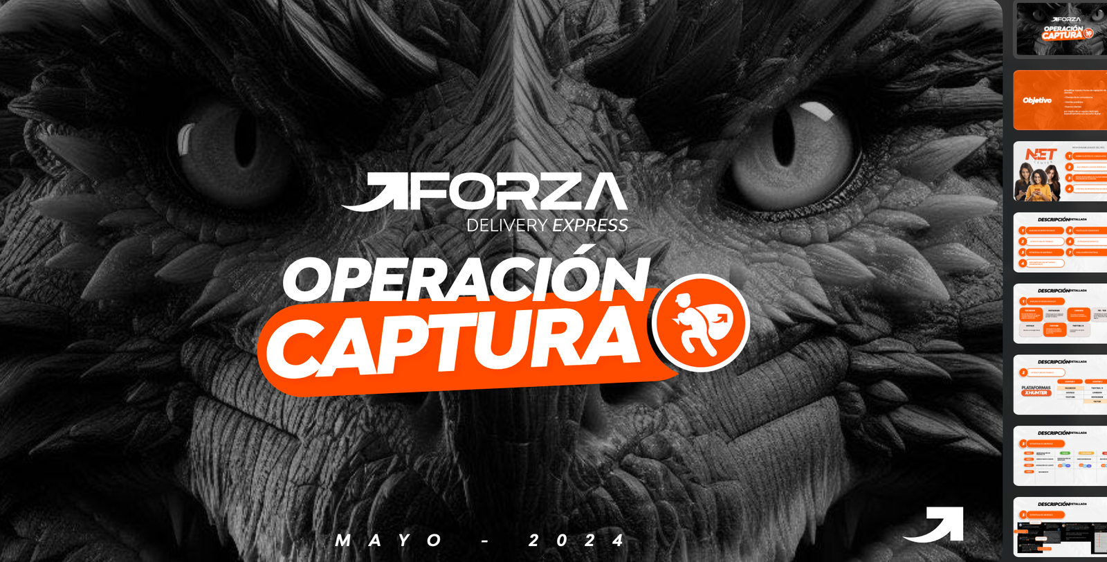 Forza - Operación Captura